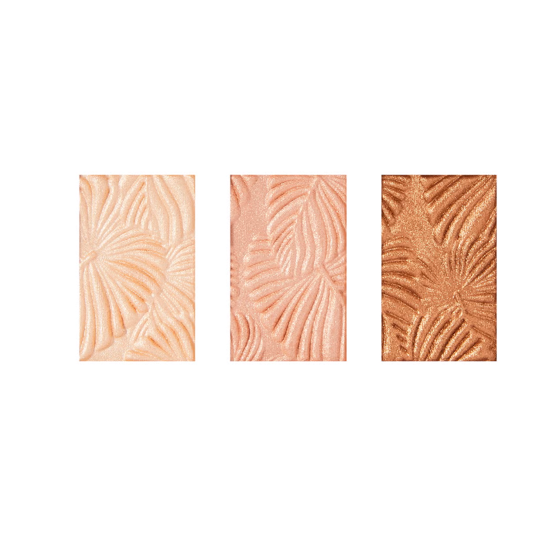 Revolution Earth Face Palette