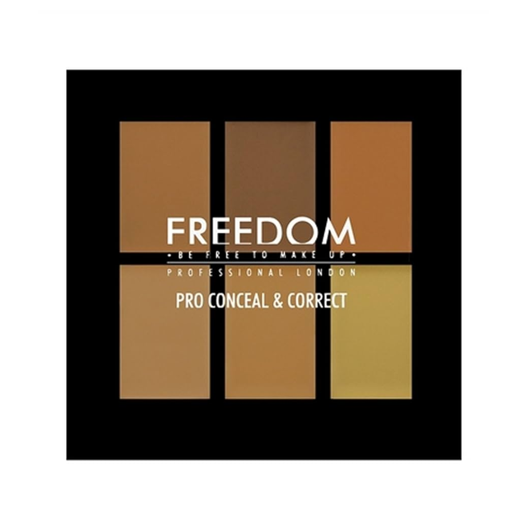 Freedom Pro Conceal & Correct Palette Medium Dark