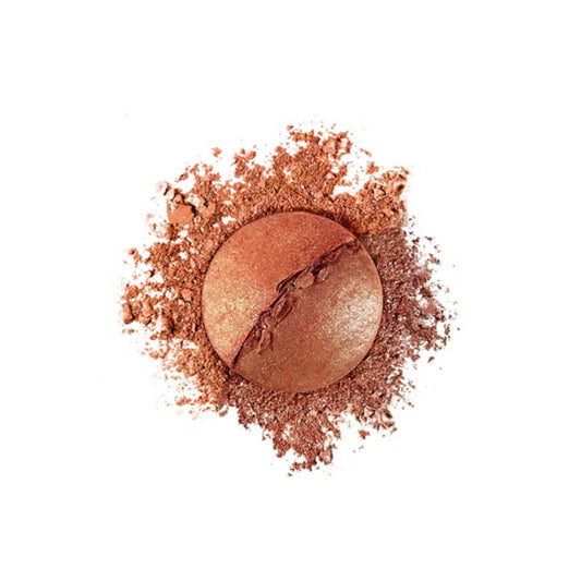 Bourjois Le Duo Blush 03