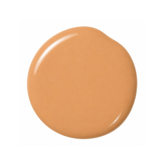 Revolution IRL Filter Oil Free Foundation F12