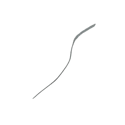 Stila Stay All Day Liquid Eyeliner Micro Tip Shimmering Graphite